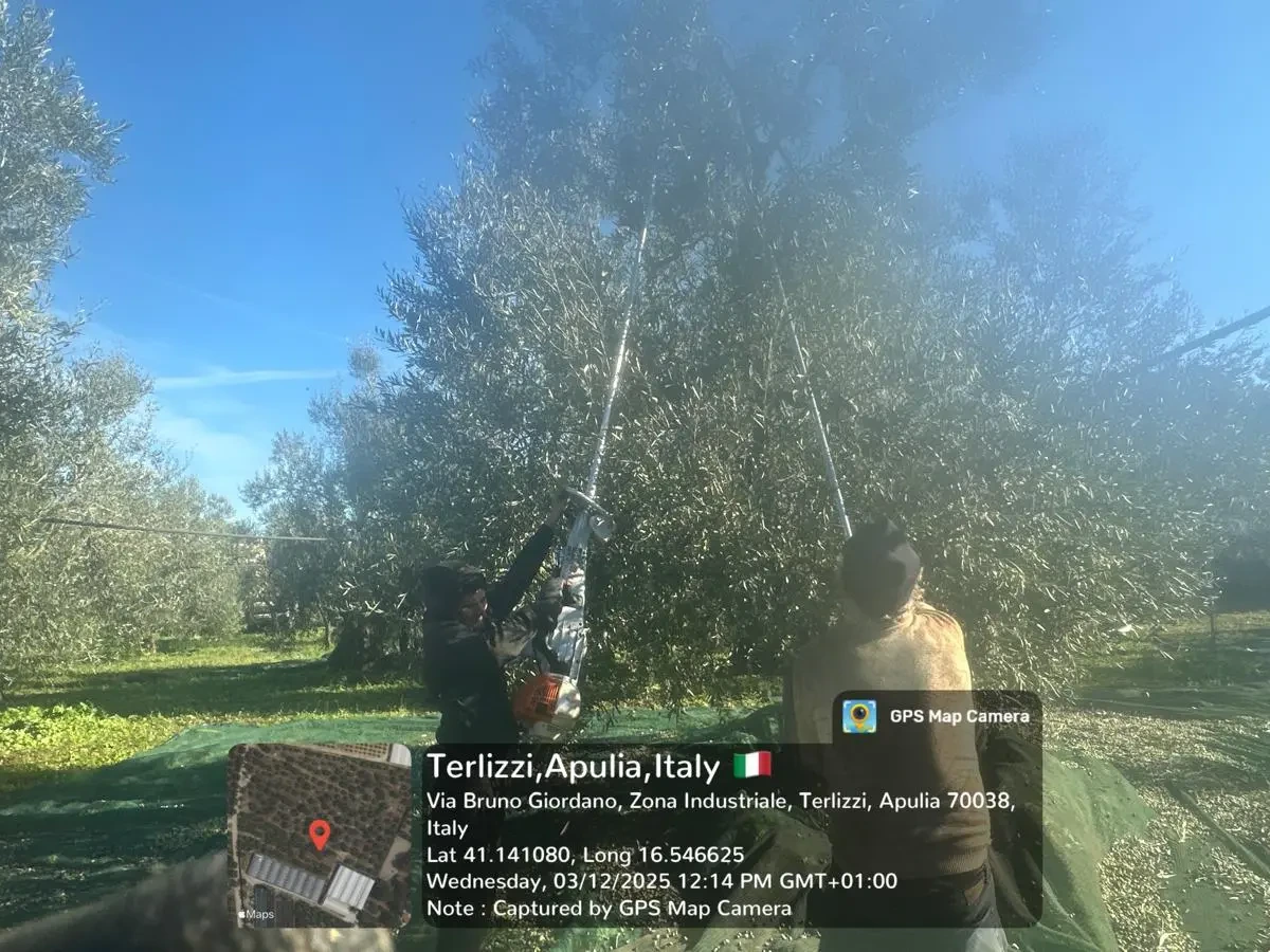 Foto geolocalizzata della raccolta, GPS Map Camera, Terlizzi